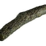 RHP 21" Oak Tree Branches